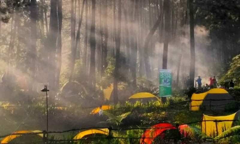 Tempat Family Gathering di Puncak