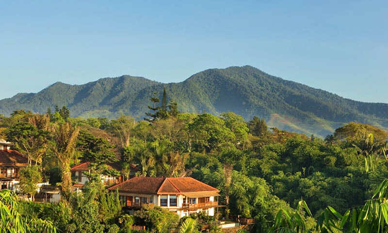 Tempat Family Gathering di Puncak